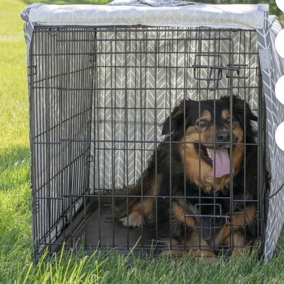 Vibrant Life Cover - Picture 6 of 8